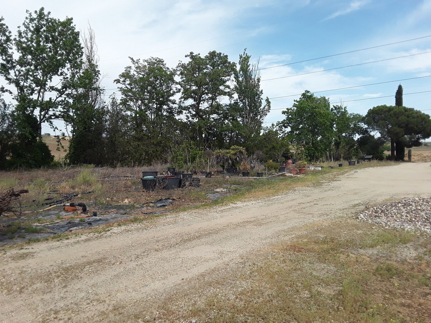 Fincas y solares-Venta-Moraleja de Enmedio-826791-Foto-3