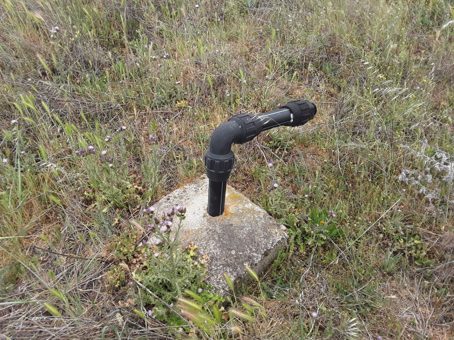 Fincas y solares-Venta-Moraleja de Enmedio-826791-Foto-21