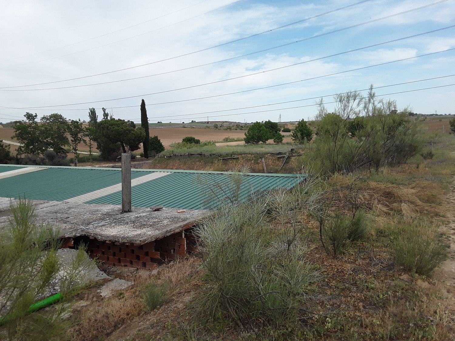 Fincas y solares-Venta-Moraleja de Enmedio-826791-Foto-18