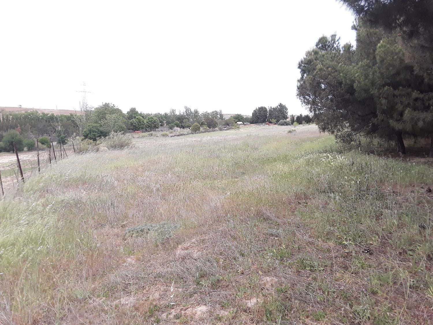 Fincas y solares-Venta-Moraleja de Enmedio-826791-Foto-25