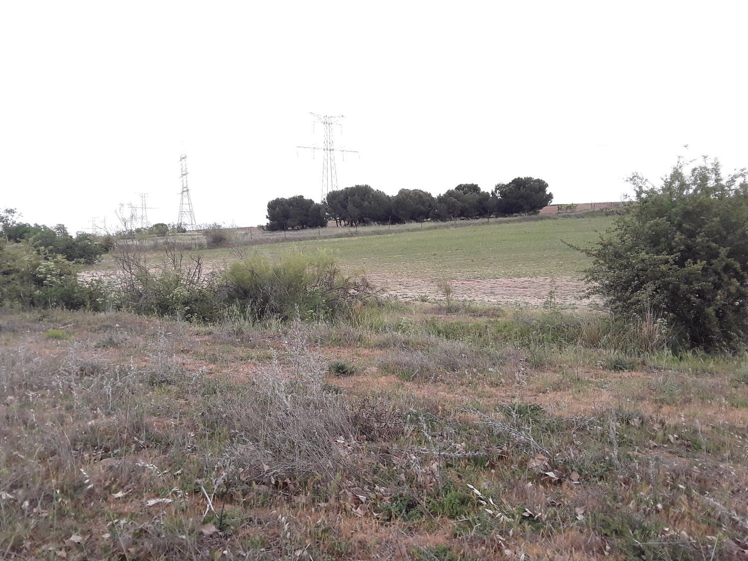 Fincas y solares-Venta-Moraleja de Enmedio-826791-Foto-23