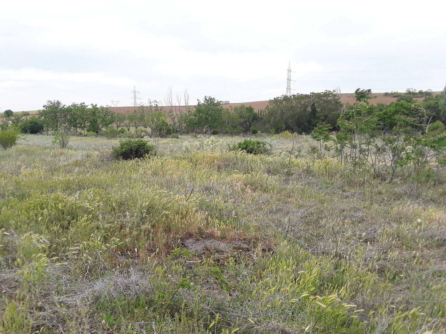 Fincas y solares-Venta-Moraleja de Enmedio-826791-Foto-27