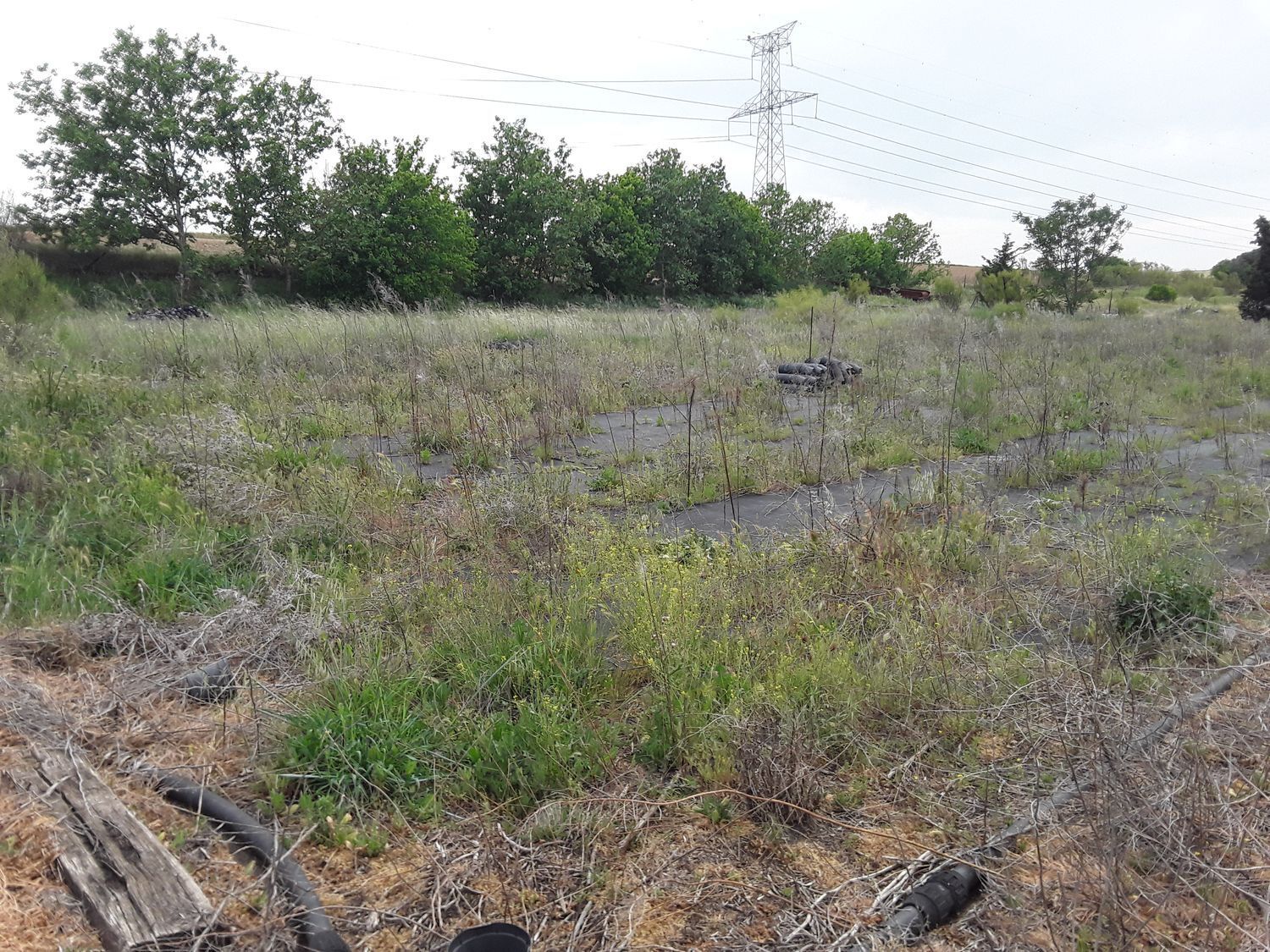 Fincas y solares-Venta-Moraleja de Enmedio-826791-Foto-28