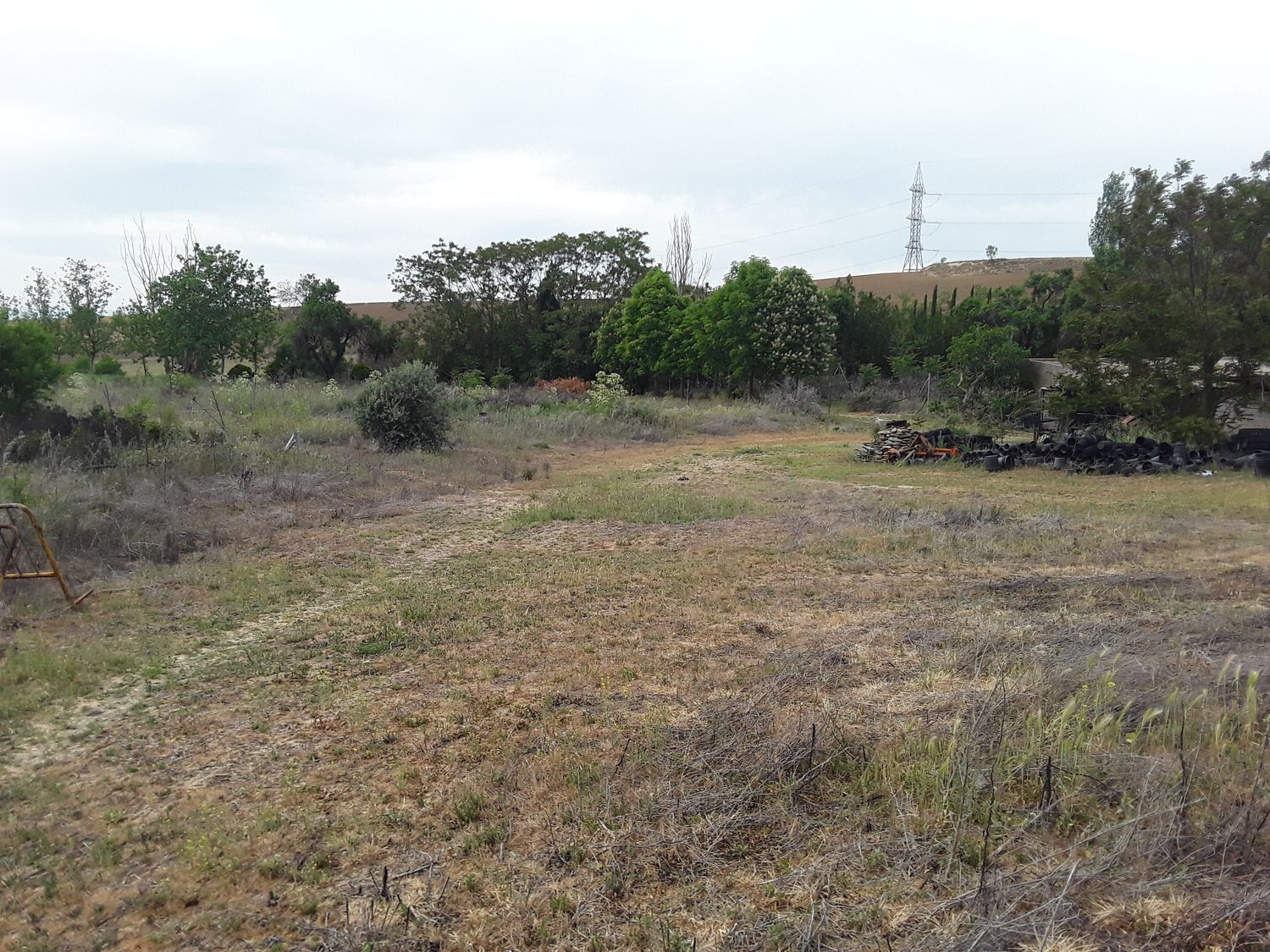 Fincas y solares-Venta-Moraleja de Enmedio-826791-Foto-31