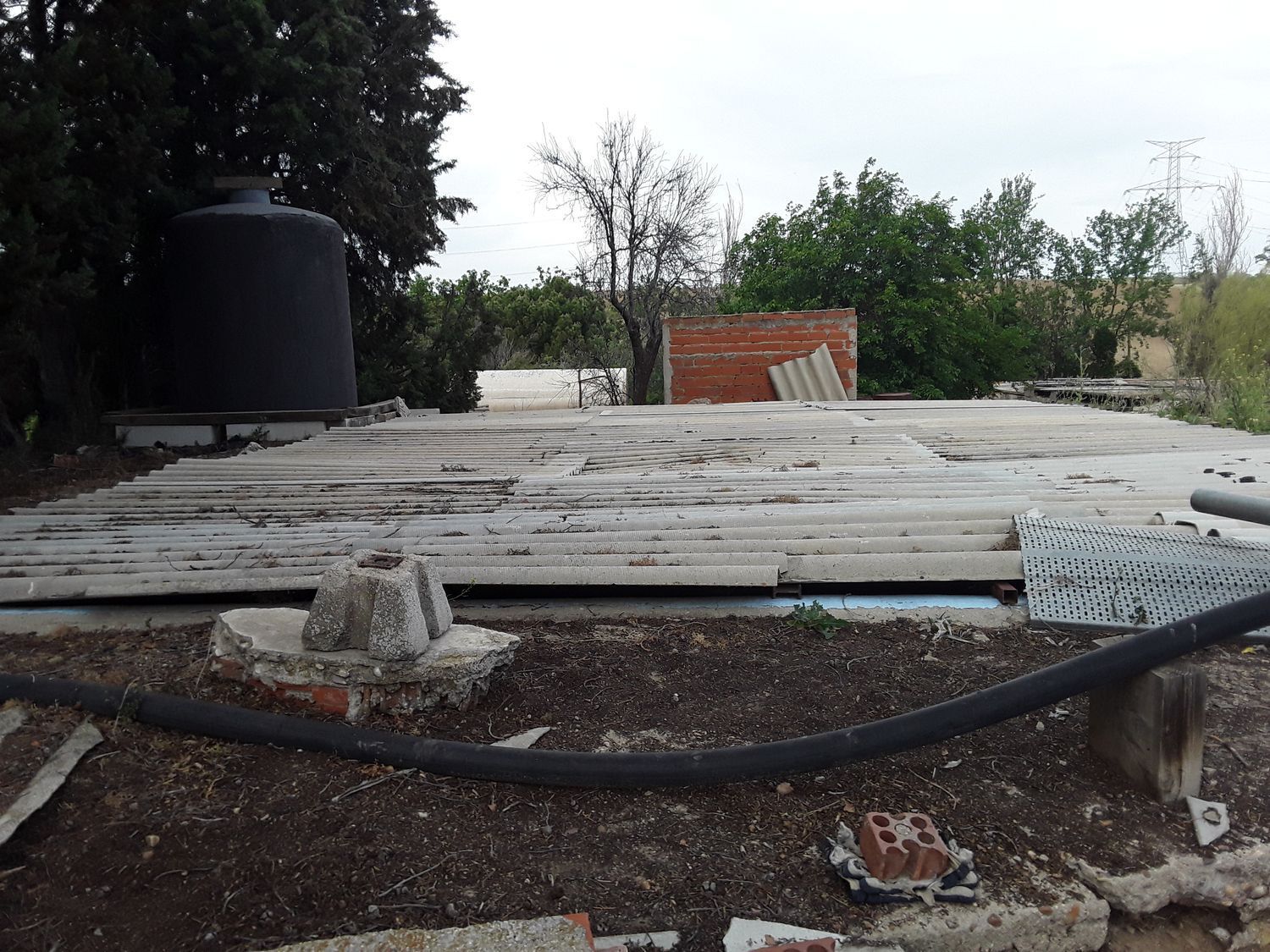 Fincas y solares-Venta-Moraleja de Enmedio-826791-Foto-29