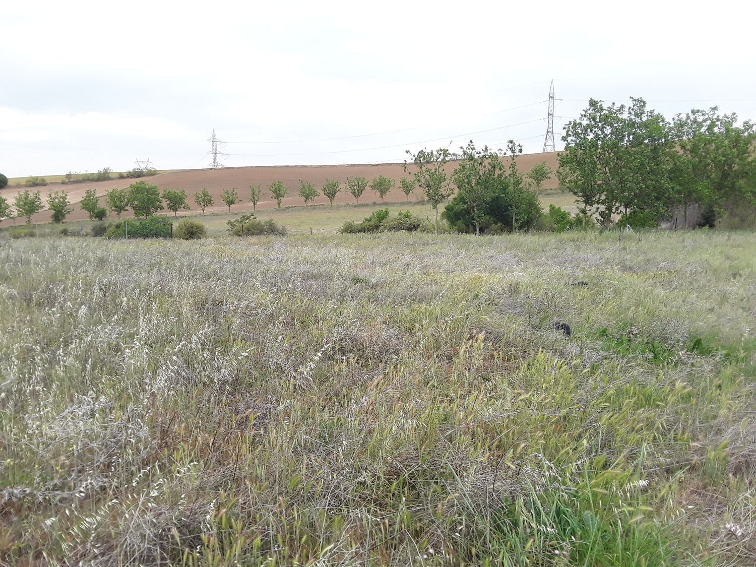 Fincas y solares-Venta-Moraleja de Enmedio-826791-Foto-32