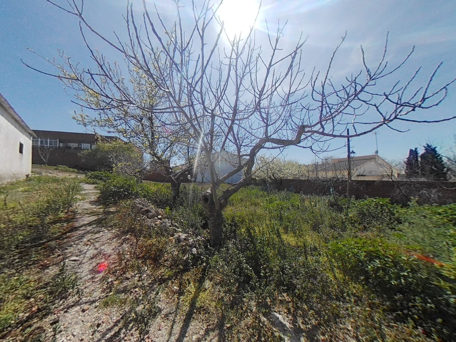 Fincas y solares-Venta-TorrejÃ³n de Velasco-1559610-Foto-9