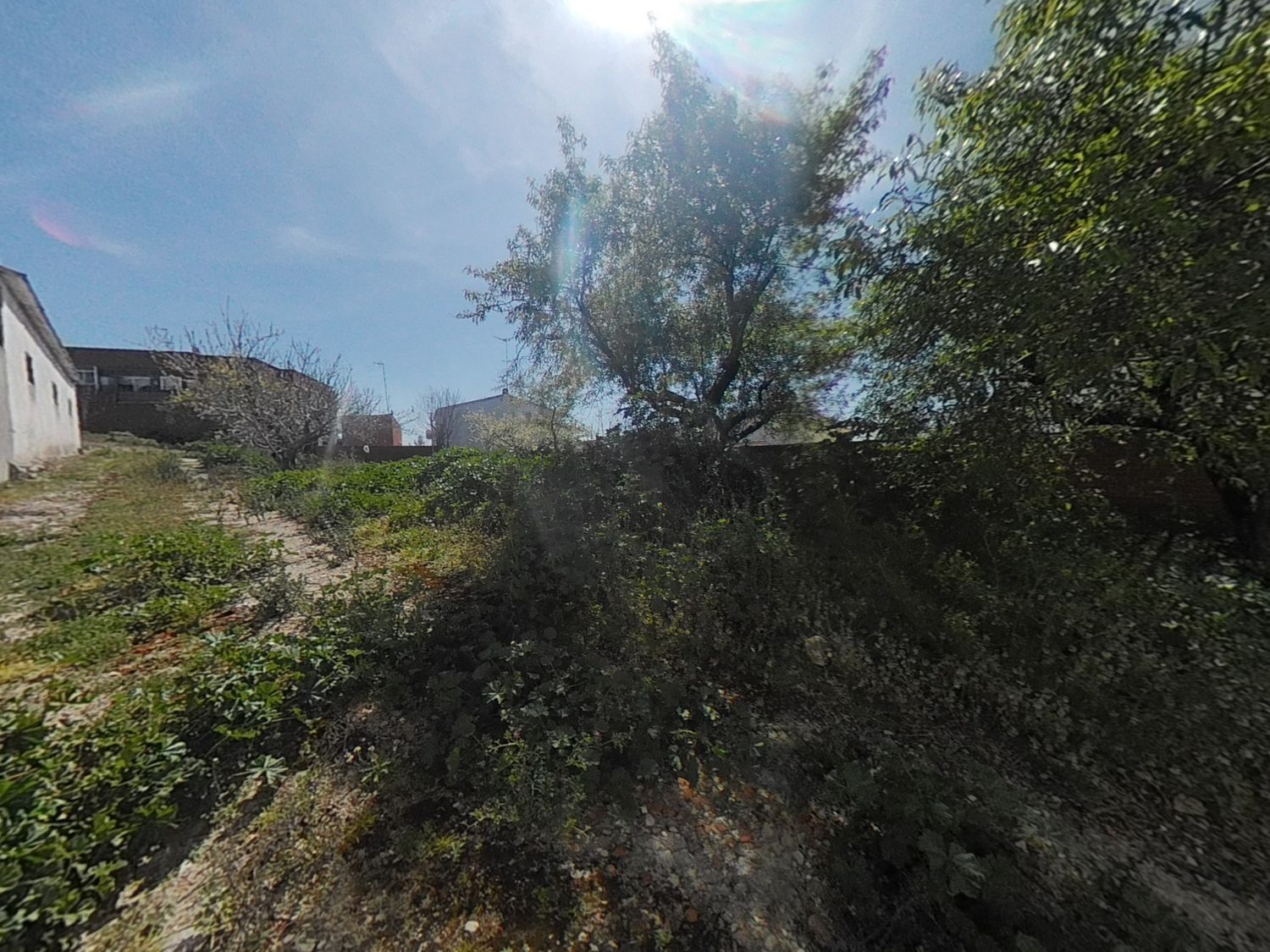 Fincas y solares-Venta-TorrejÃ³n de Velasco-1559610-Foto-12