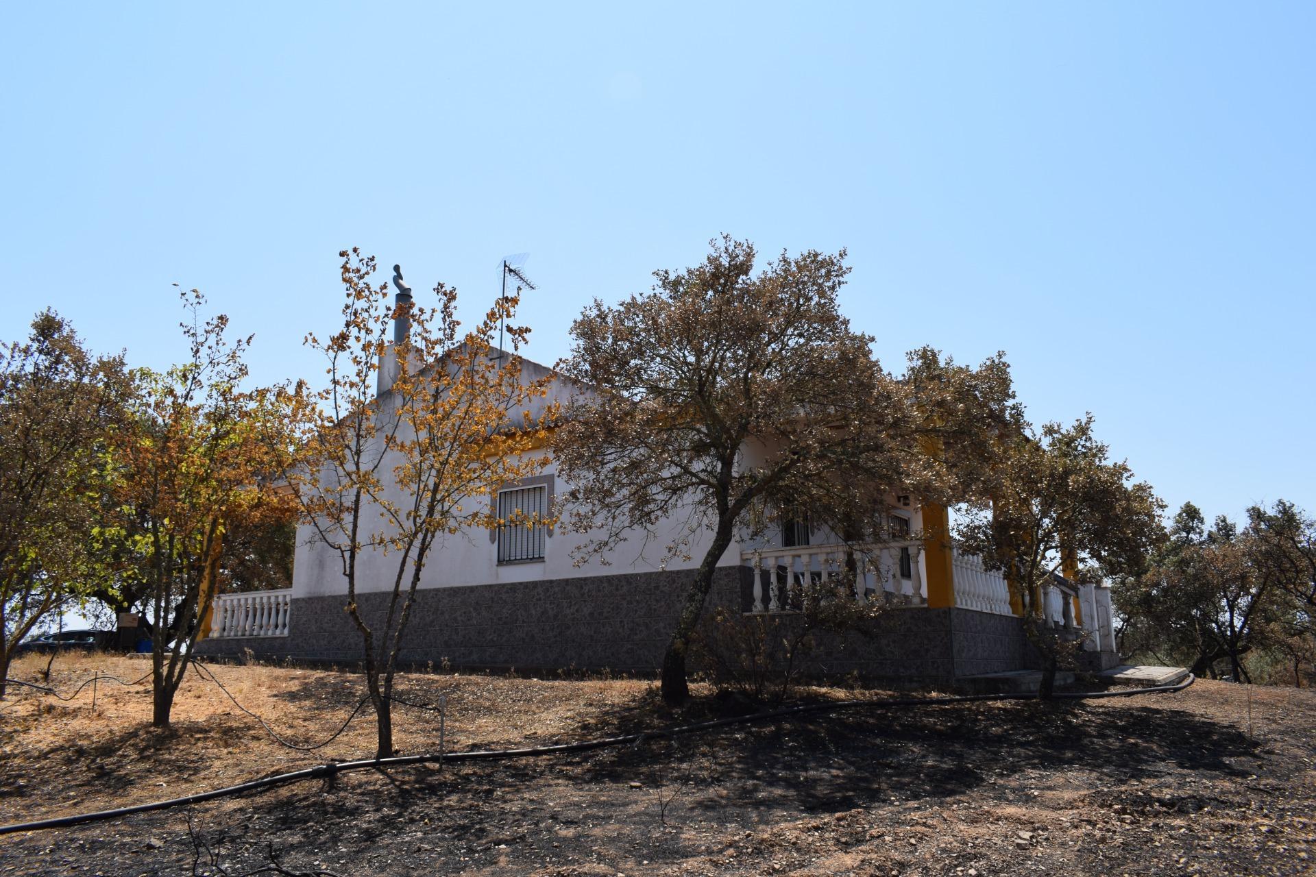 Pisos-Venta-San BartolomÃ© de la Torre-1866787-Foto-32