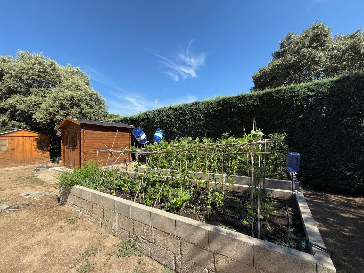 Casas o chalets-Venta-Valdemorillo-1834879-Foto-43