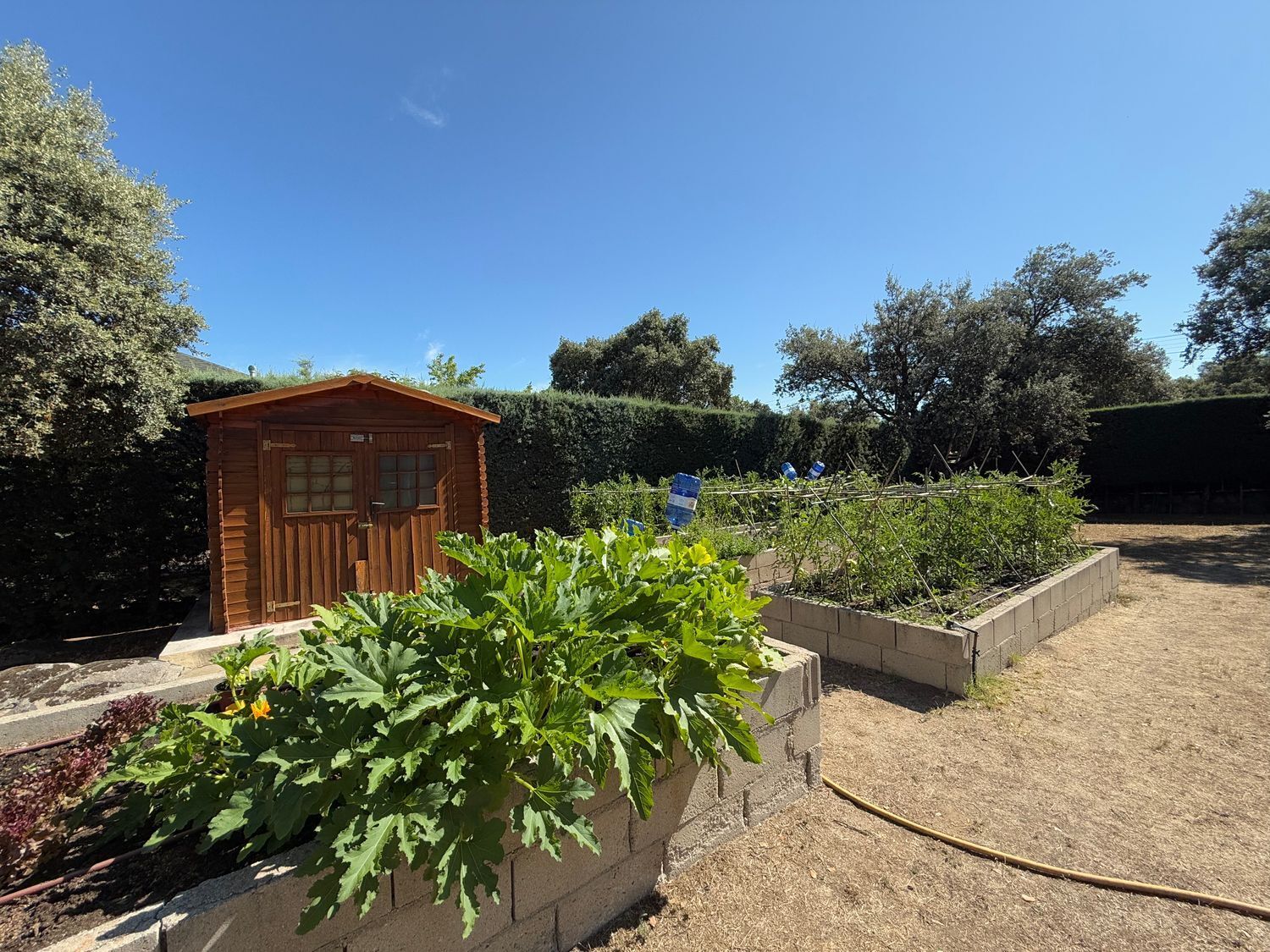 Casas o chalets-Venta-Valdemorillo-1834879-Foto-47