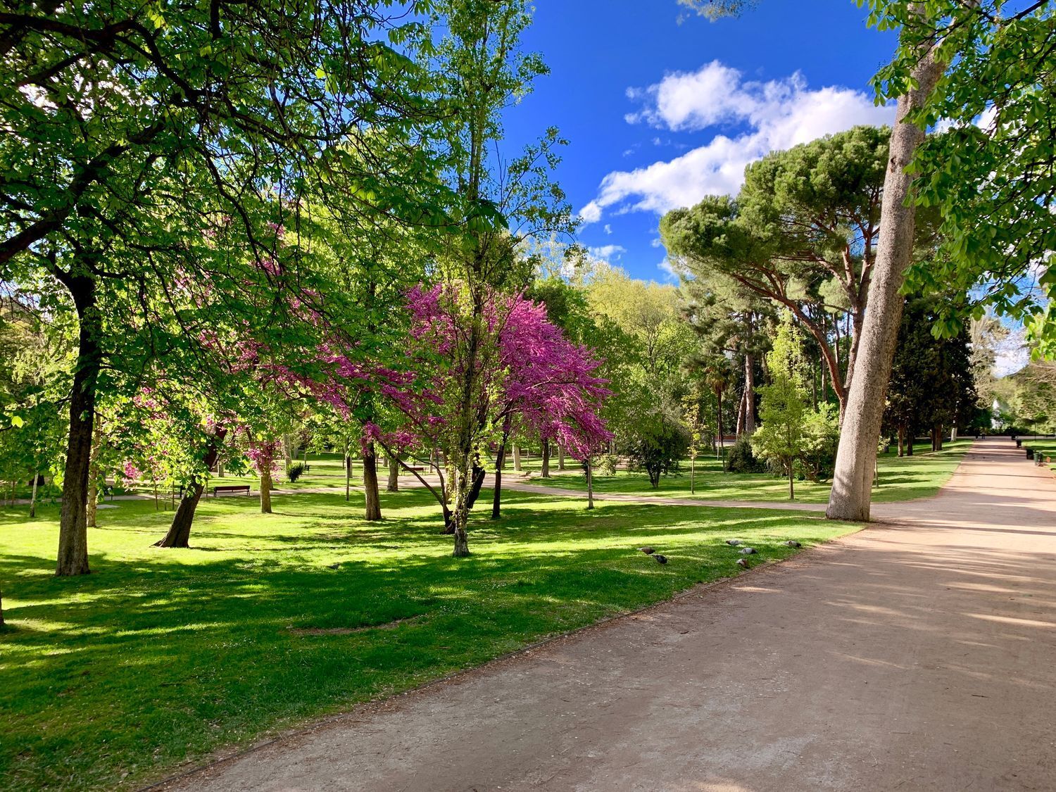 Pisos-Alquiler-Madrid-2010640-Foto-21