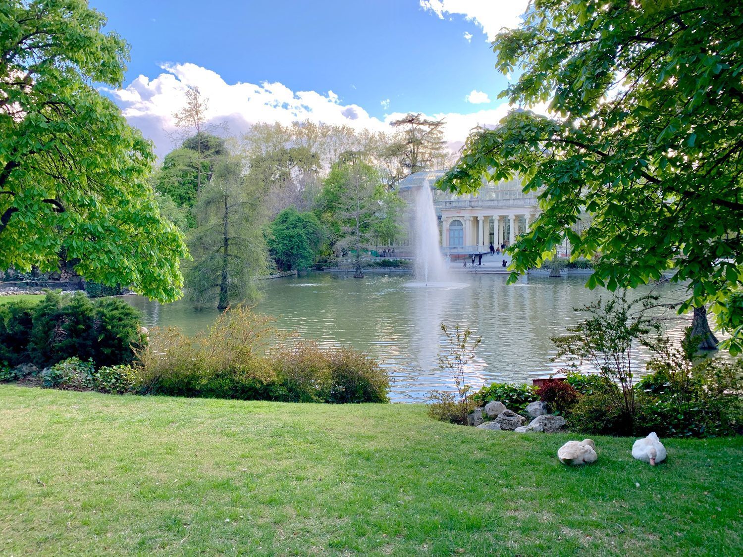 Pisos-Alquiler-Madrid-2010640-Foto-23