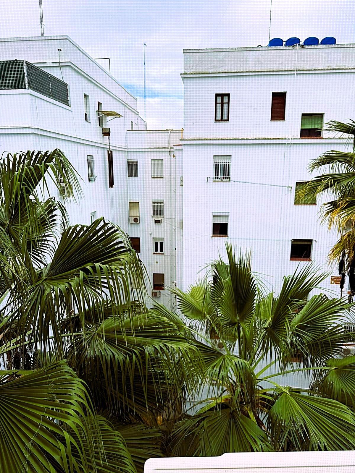 Pisos-Venta-Burguillos-2033141-Foto-41