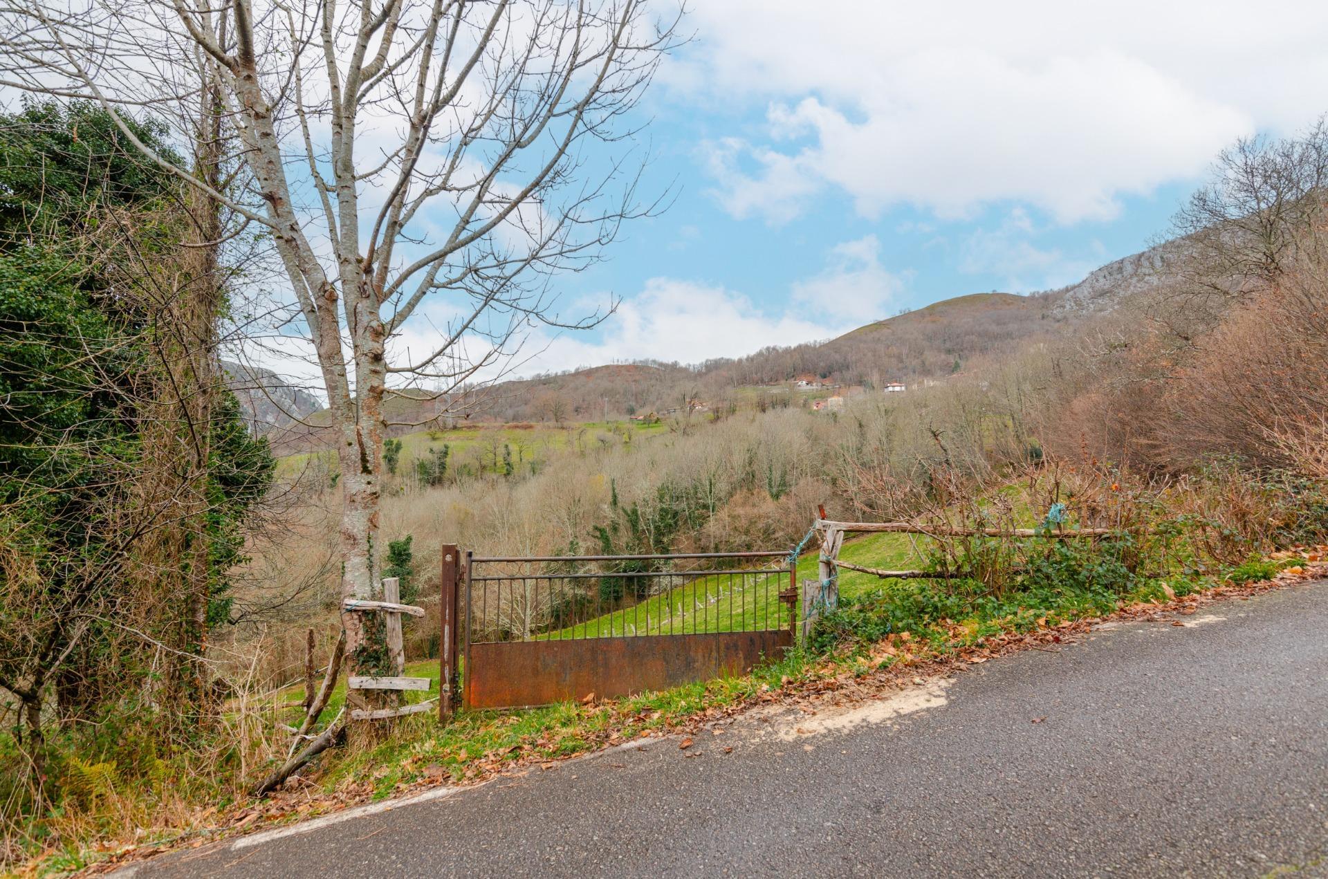 Fincas y solares-Venta-Sobrescobio-2033144-Foto-10