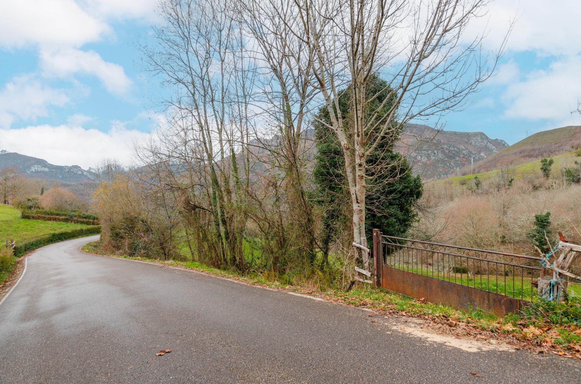 Fincas y solares-Venta-Sobrescobio-2033144-Foto-4