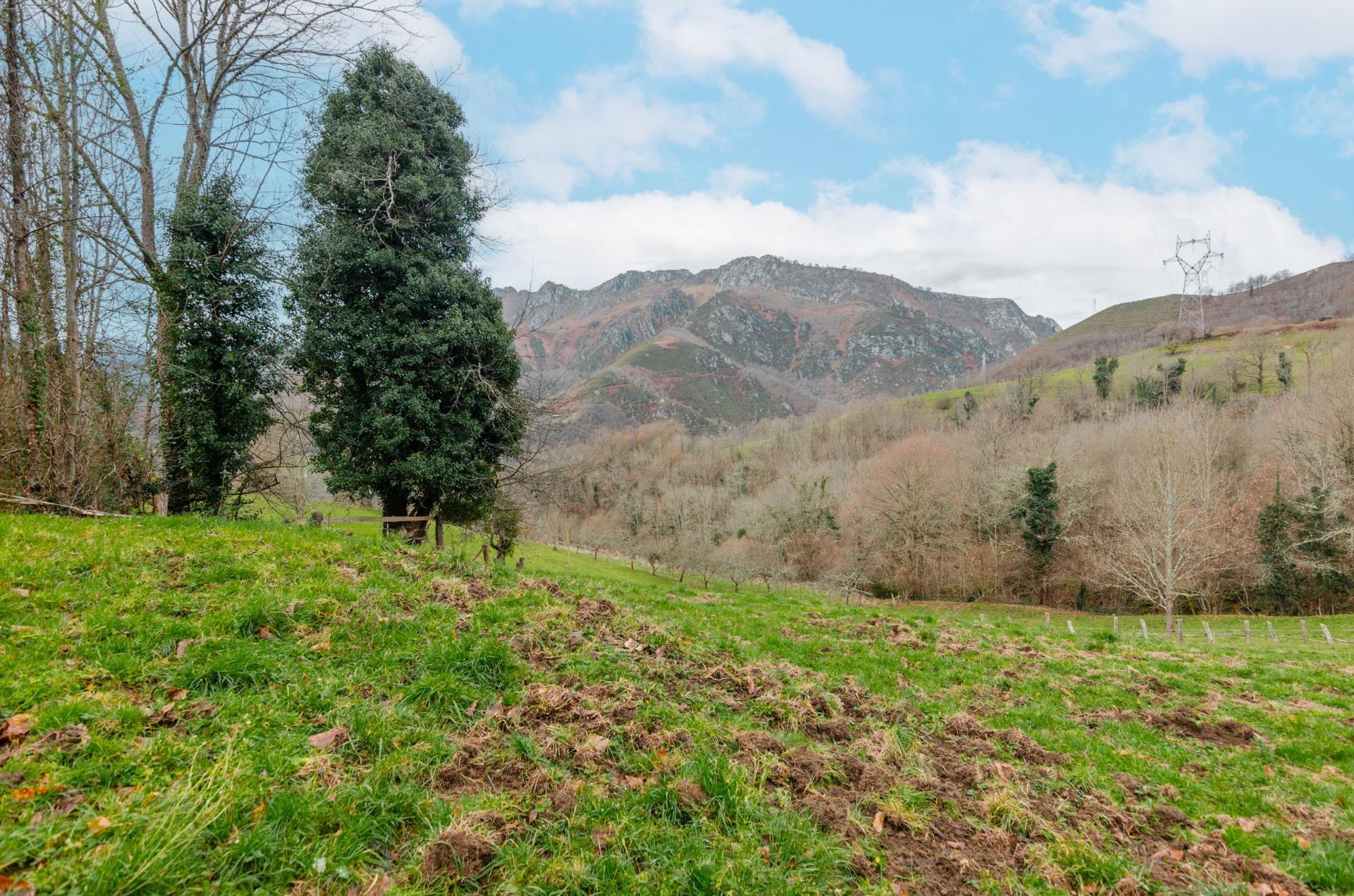 Fincas y solares-Venta-Sobrescobio-2033144-Foto-7