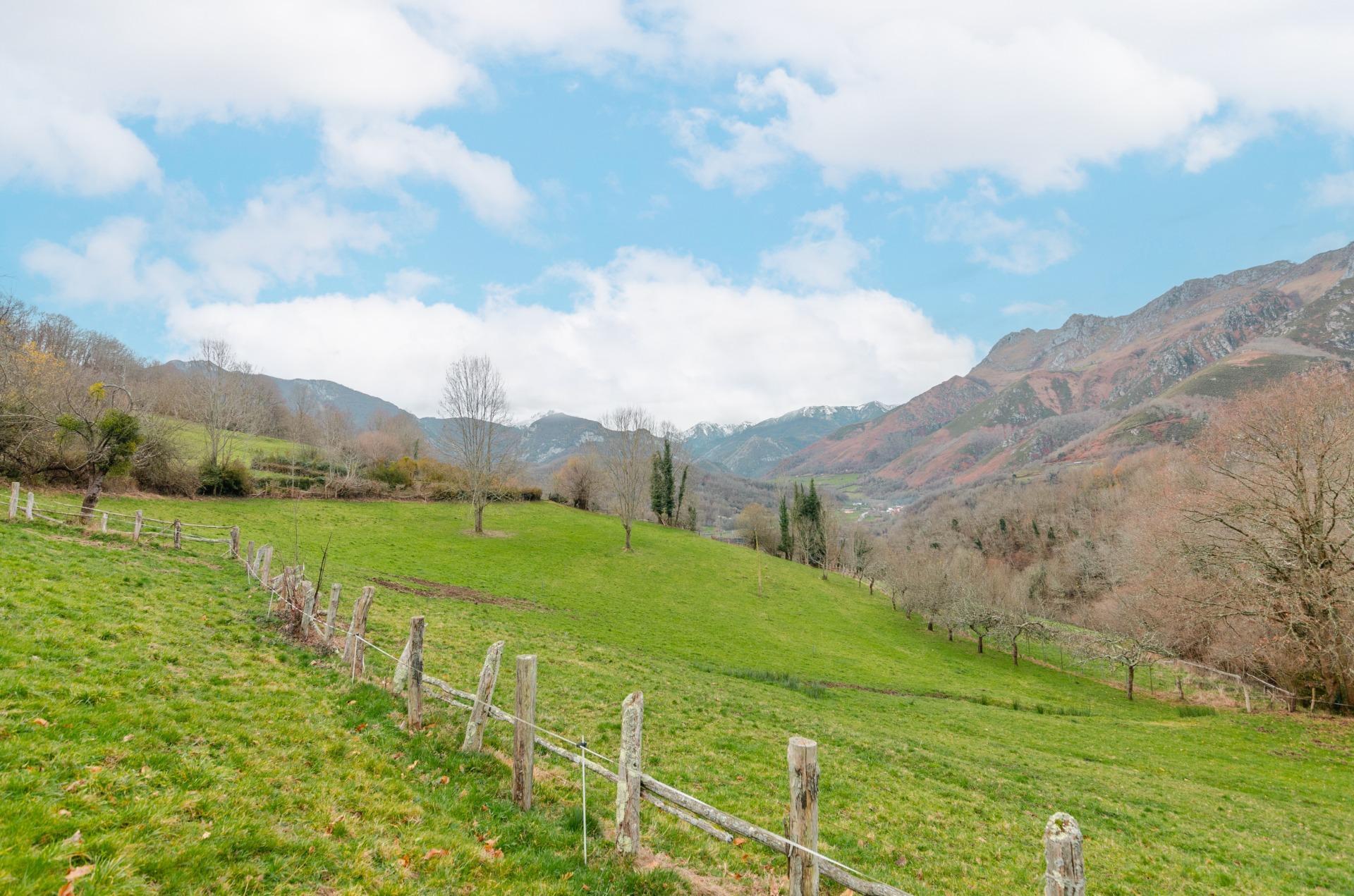 Fincas y solares-Venta-Sobrescobio-2033144-Foto-3