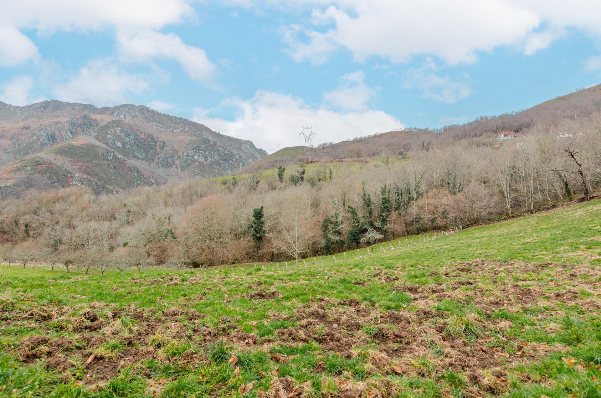 Fincas y solares-Venta-Sobrescobio-2033144-Foto-5