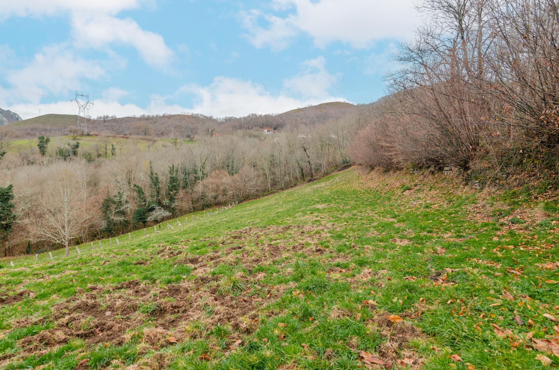 Fincas y solares-Venta-Sobrescobio-2033144-Foto-9