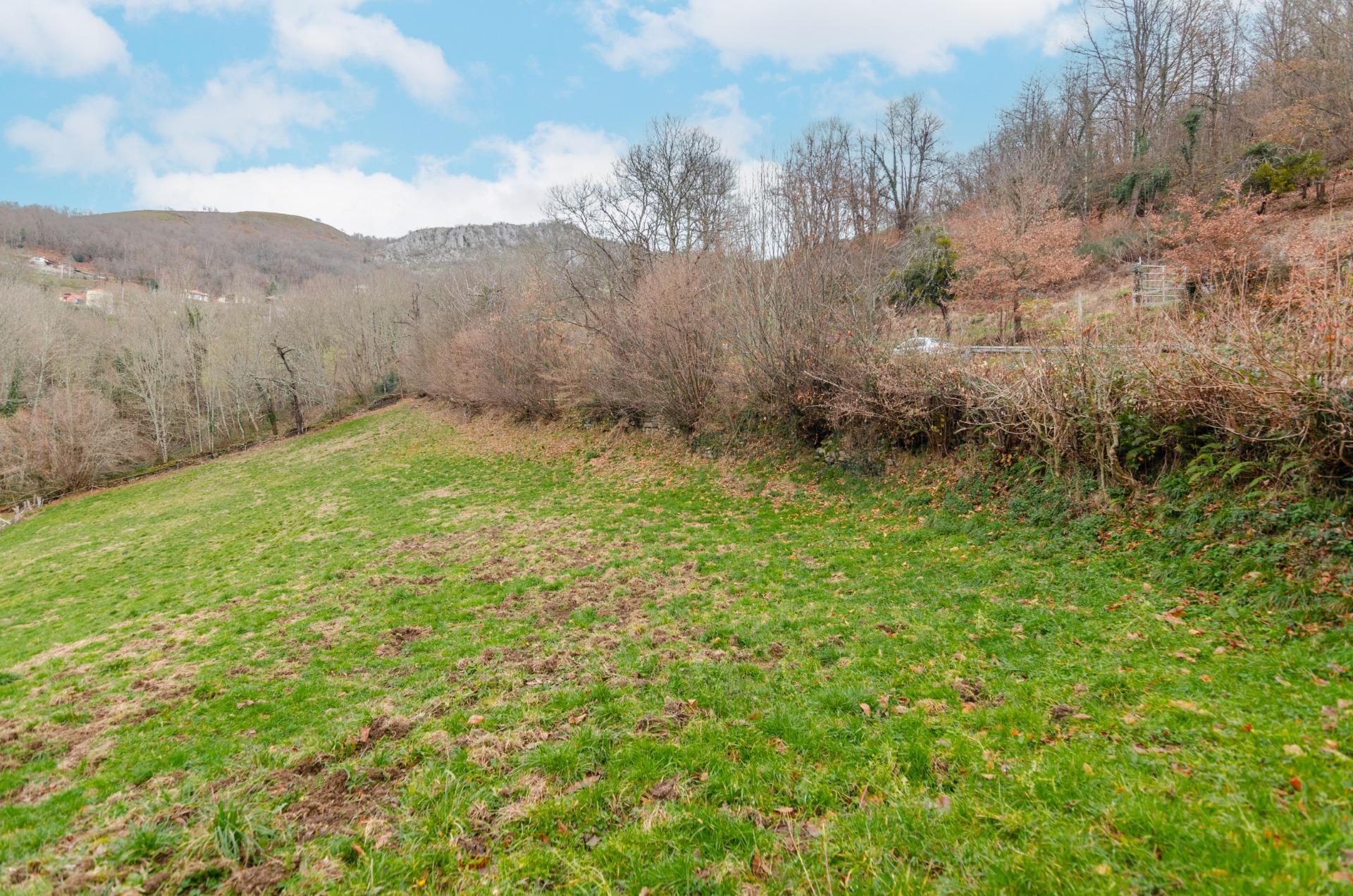 Fincas y solares-Venta-Sobrescobio-2033144-Foto-6