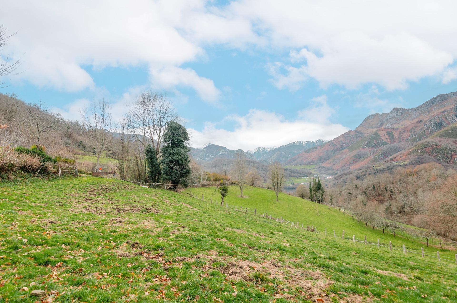 Fincas y solares-Venta-Sobrescobio-2033144-Foto-14