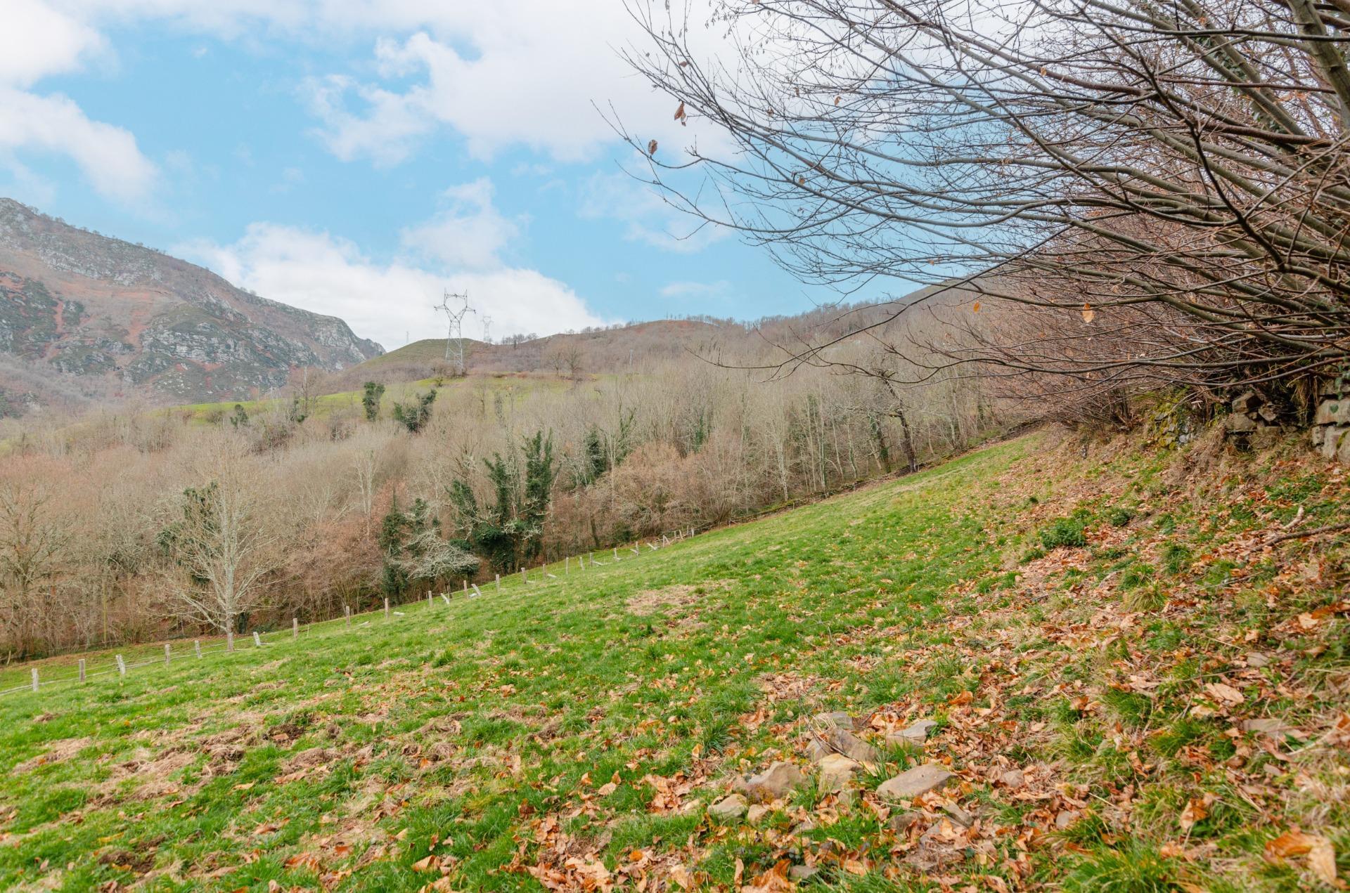 Fincas y solares-Venta-Sobrescobio-2033144-Foto-13