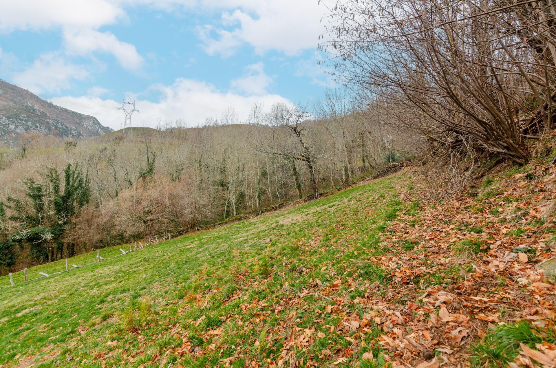 Fincas y solares-Venta-Sobrescobio-2033144-Foto-15