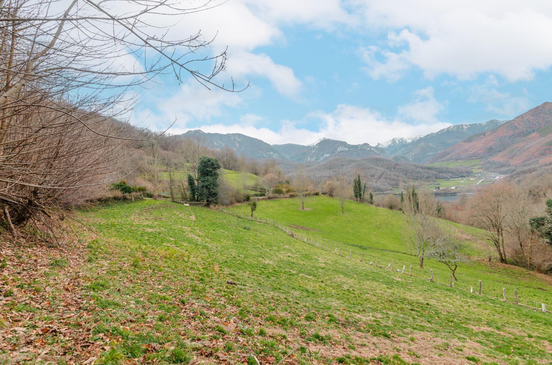 Fincas y solares-Venta-Sobrescobio-2033144-Foto-20