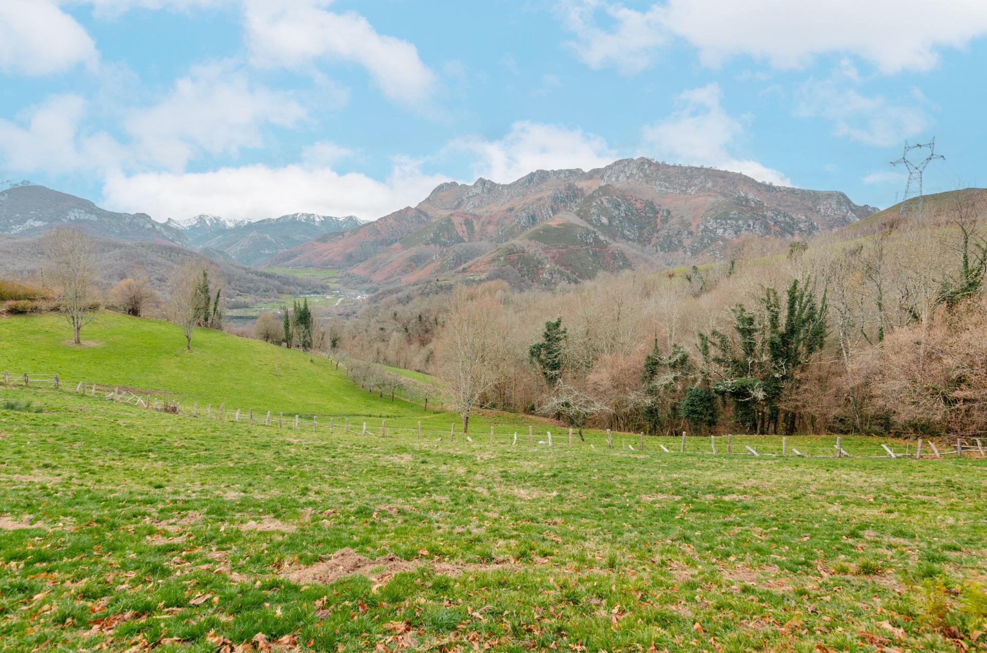 Fincas y solares-Venta-Sobrescobio-2033144-Foto-16