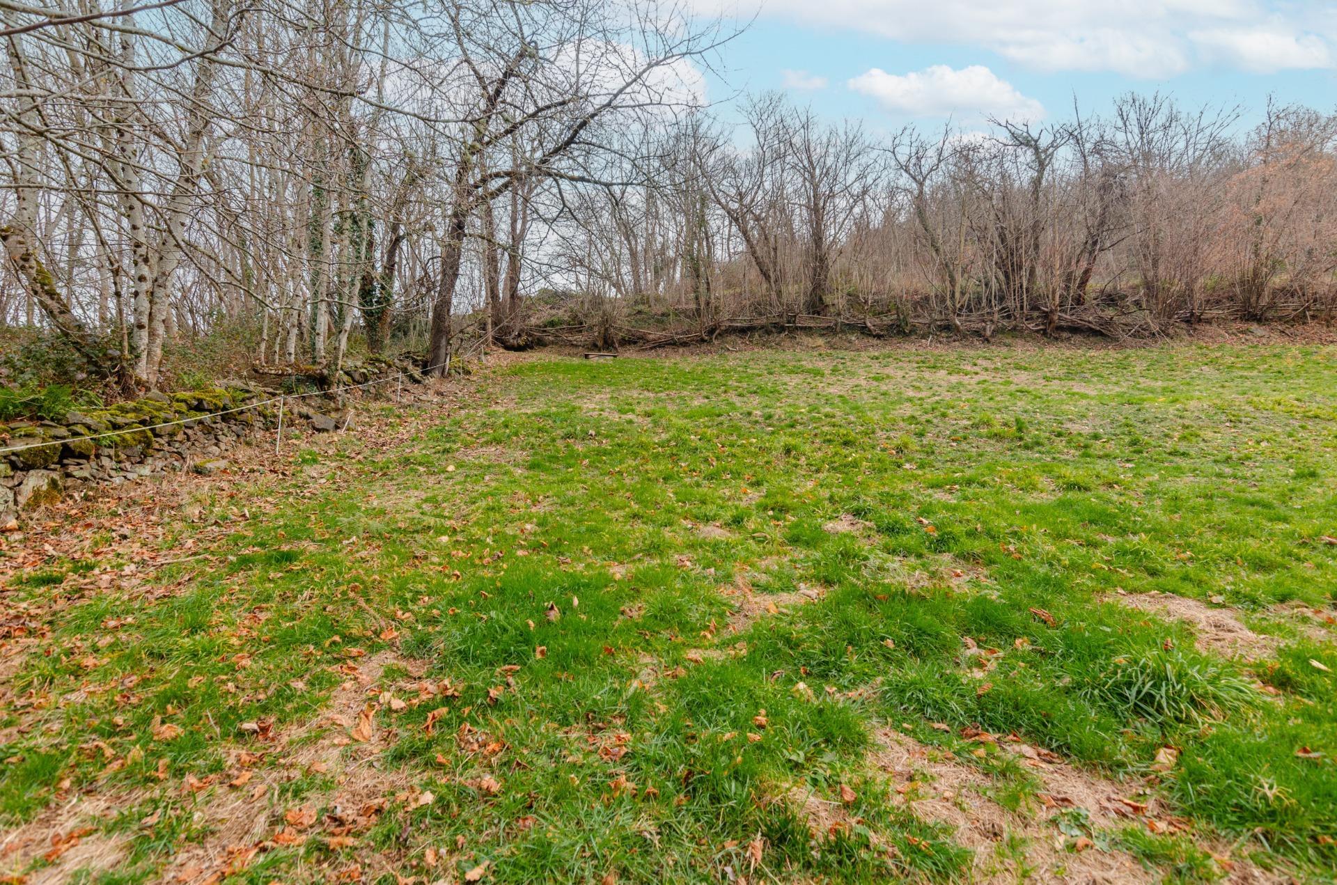 Fincas y solares-Venta-Sobrescobio-2033144-Foto-22