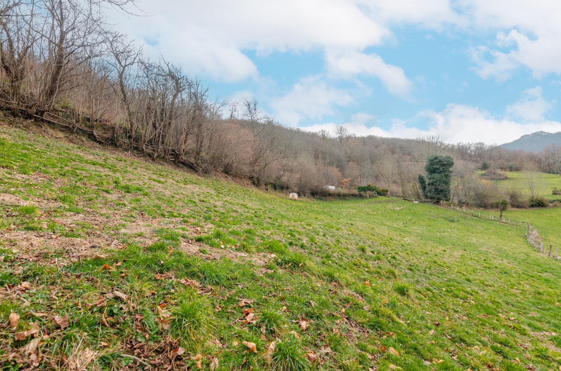 Fincas y solares-Venta-Sobrescobio-2033144-Foto-21