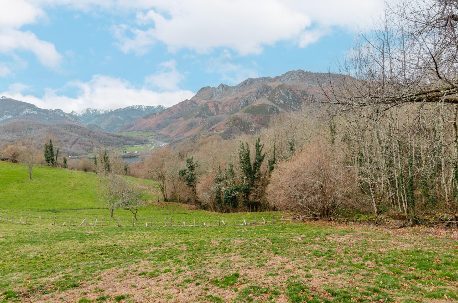 Fincas y solares-Venta-Sobrescobio-2033144-Foto-19