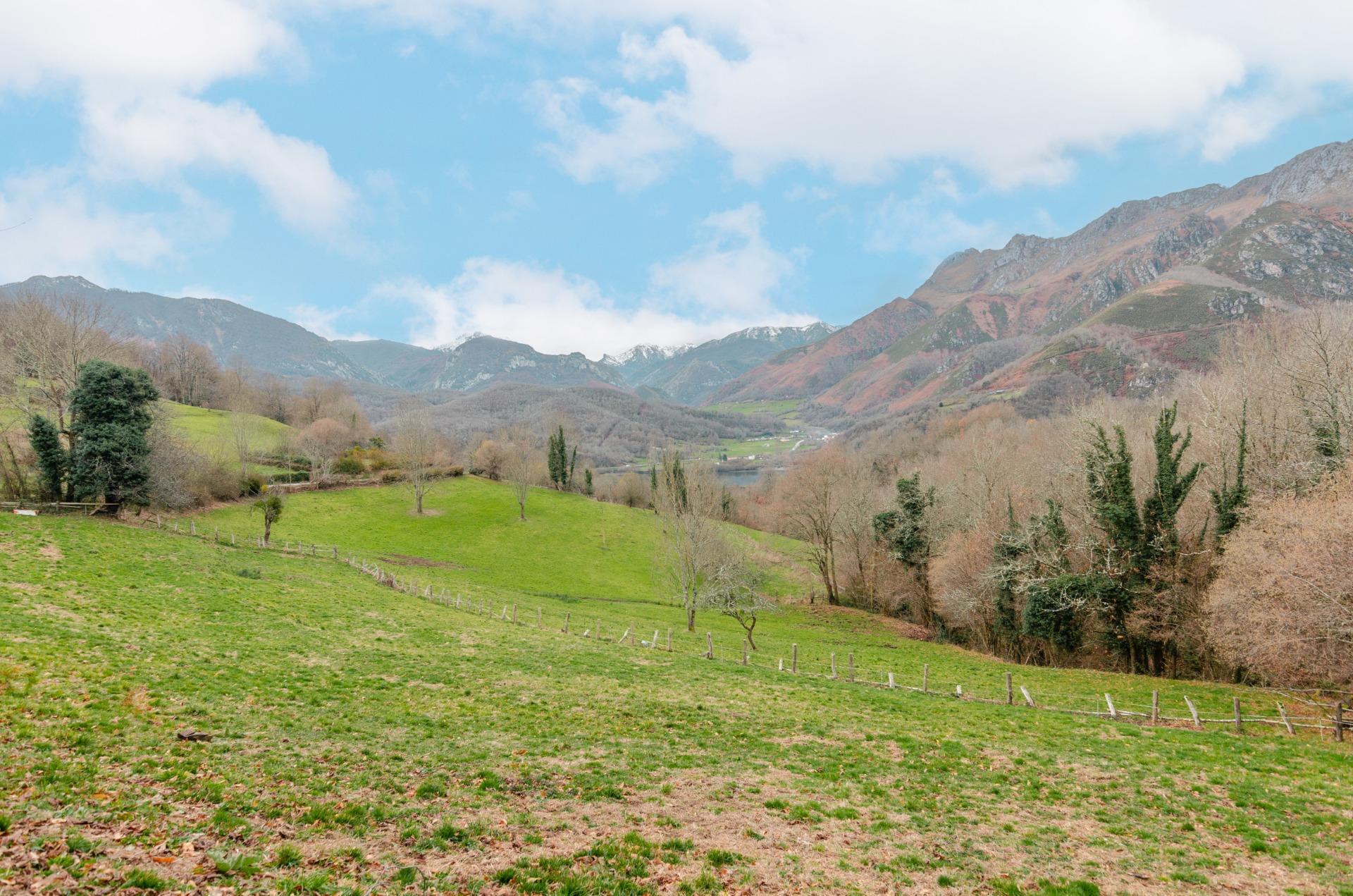 Fincas y solares-Venta-Sobrescobio-2033144-Foto-26