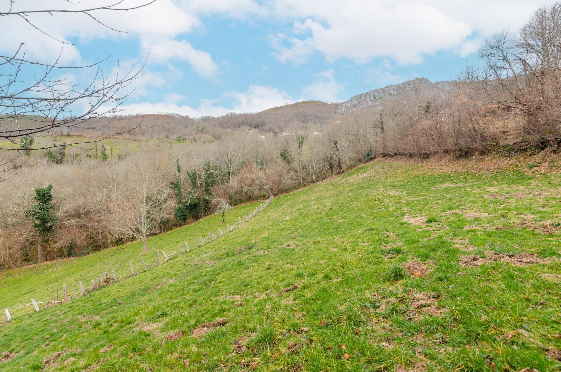 Fincas y solares-Venta-Sobrescobio-2033144-Foto-30