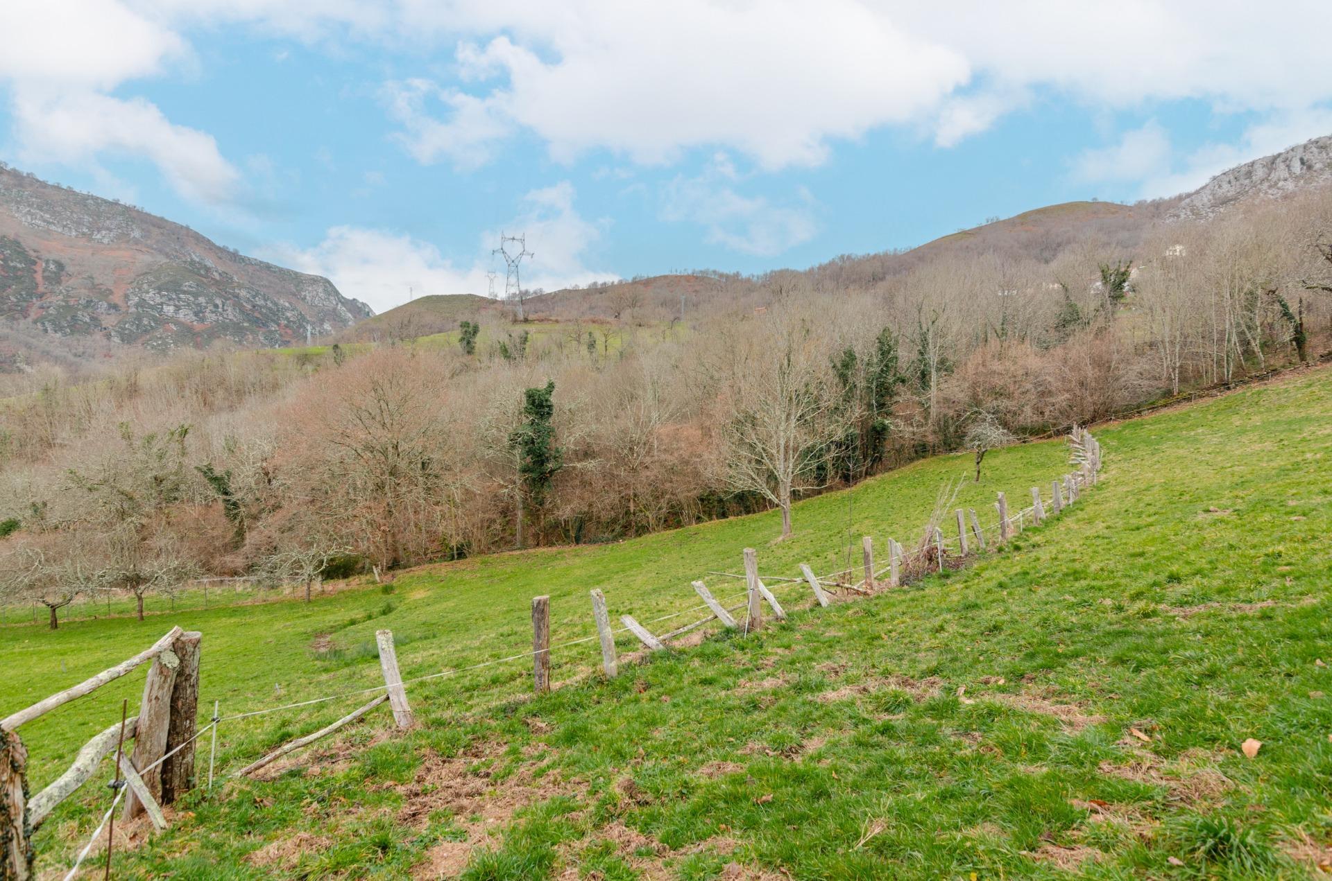 Fincas y solares-Venta-Sobrescobio-2033144-Foto-27