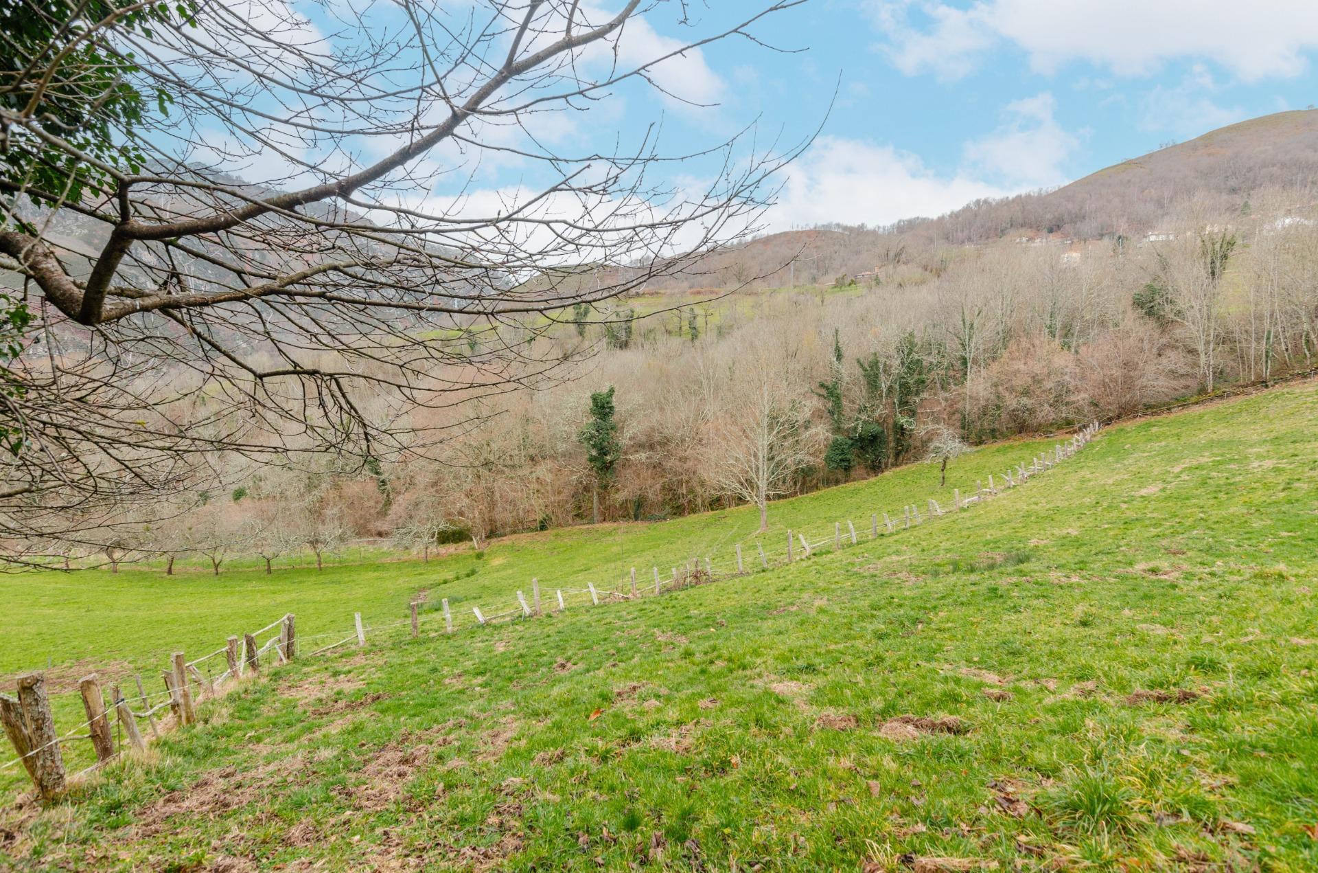 Fincas y solares-Venta-Sobrescobio-2033144-Foto-29