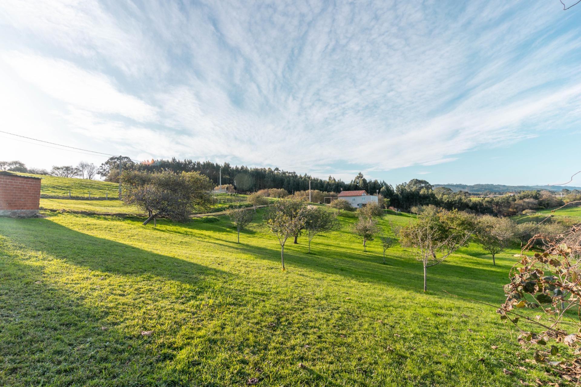 Casas o chalets-Venta-Villaviciosa-2033156-Foto-3