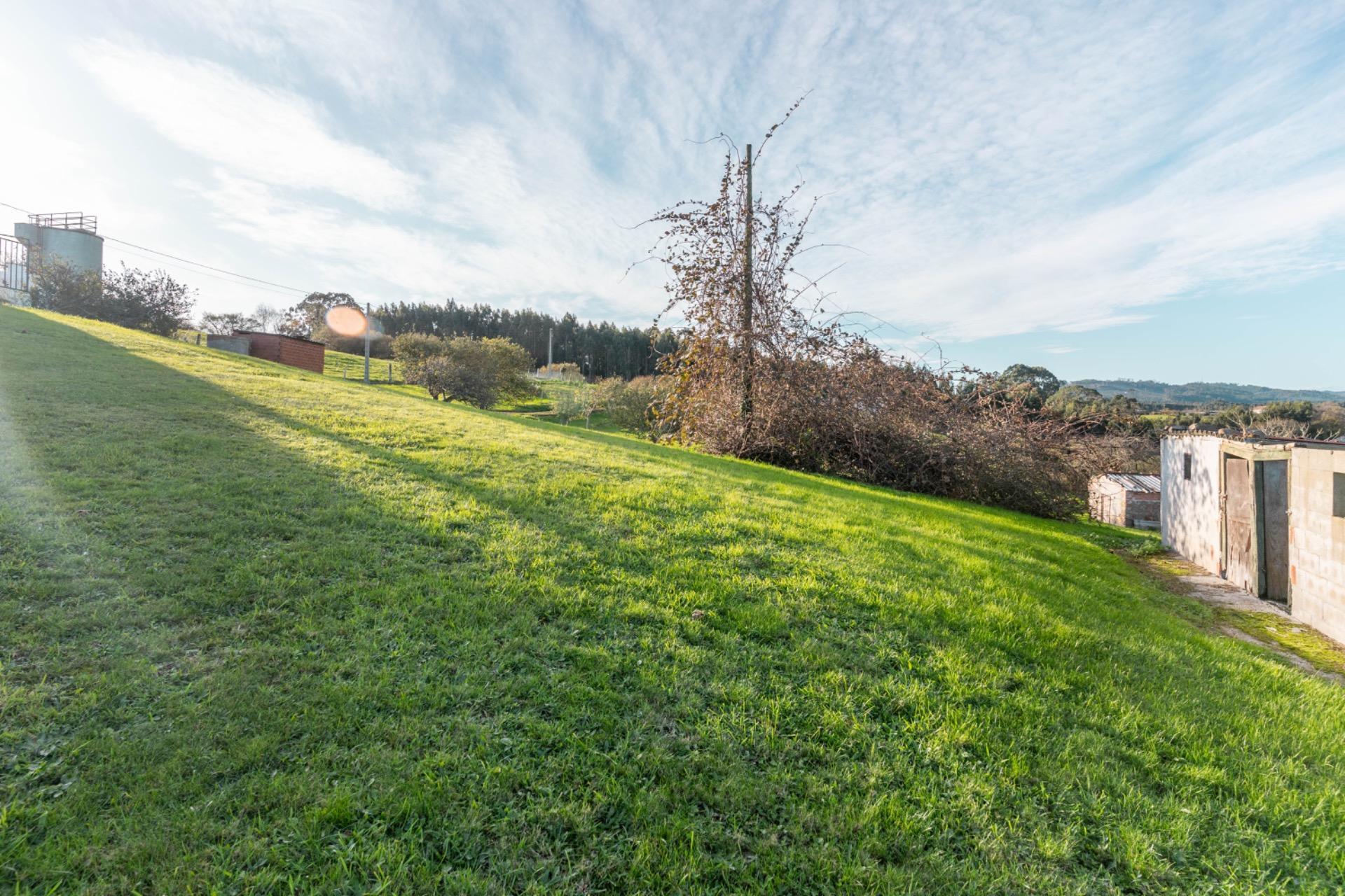 Casas o chalets-Venta-Villaviciosa-2033156-Foto-4