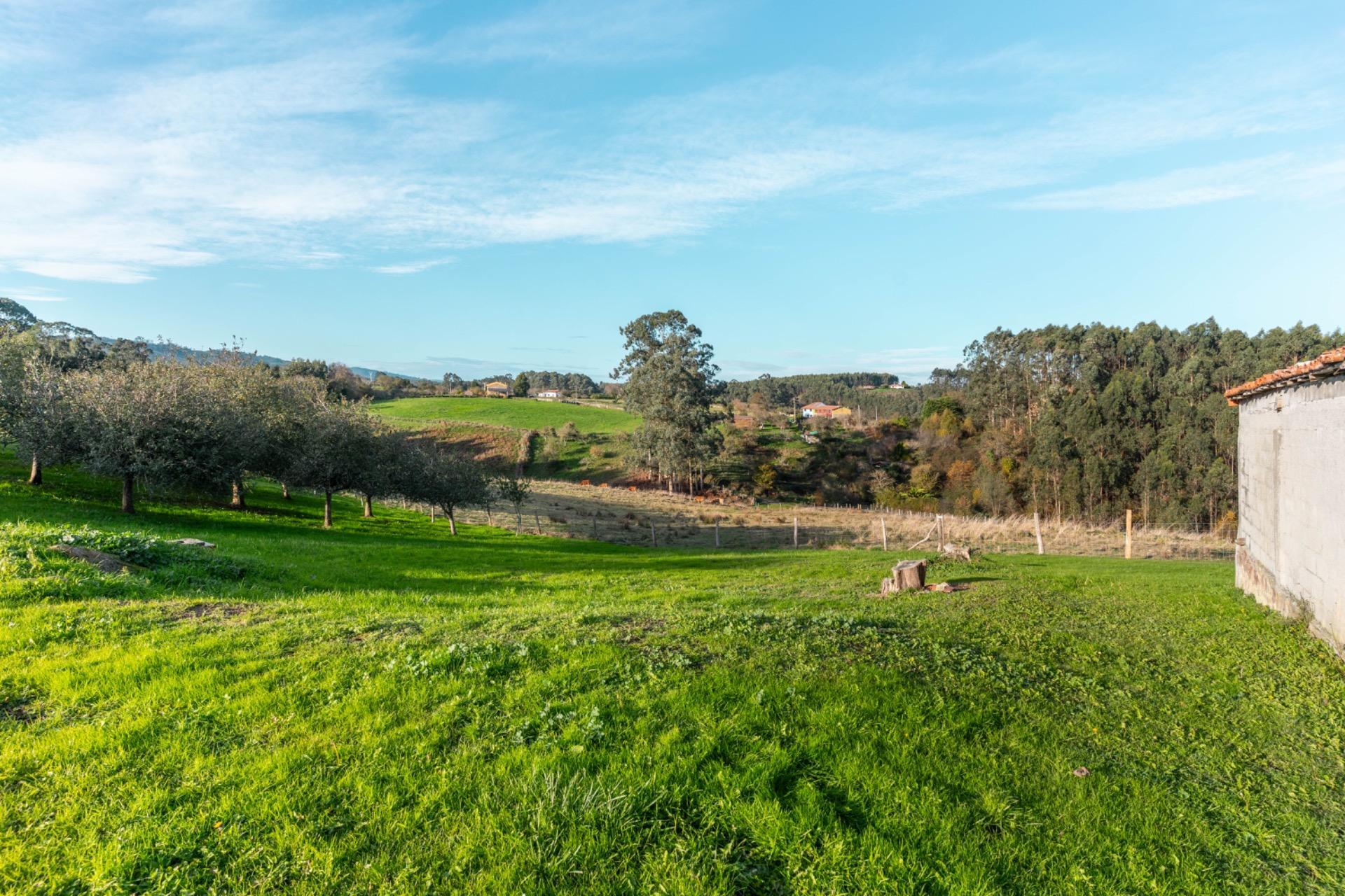 Casas o chalets-Venta-Villaviciosa-2033156-Foto-2