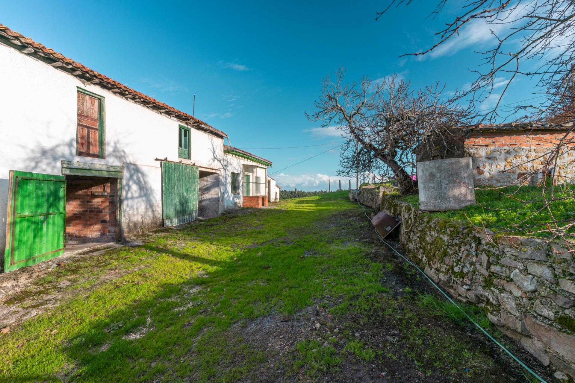 Casas o chalets-Venta-Villaviciosa-2033156-Foto-9