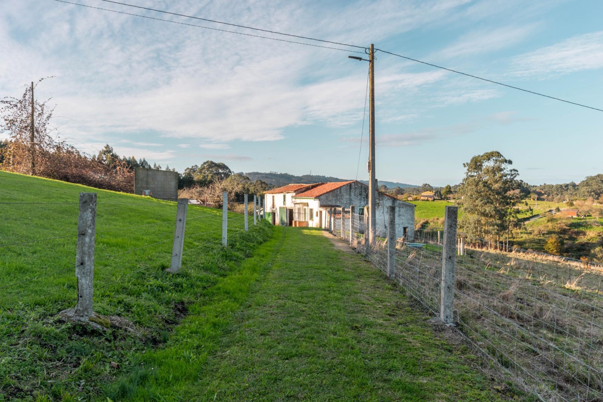 Casas o chalets-Venta-Villaviciosa-2033156-Foto-12