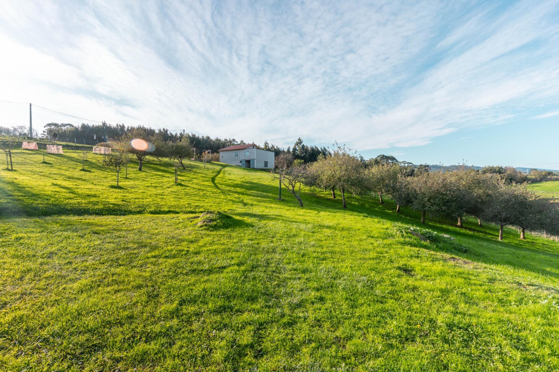 Casas o chalets-Venta-Villaviciosa-2033156-Foto-13