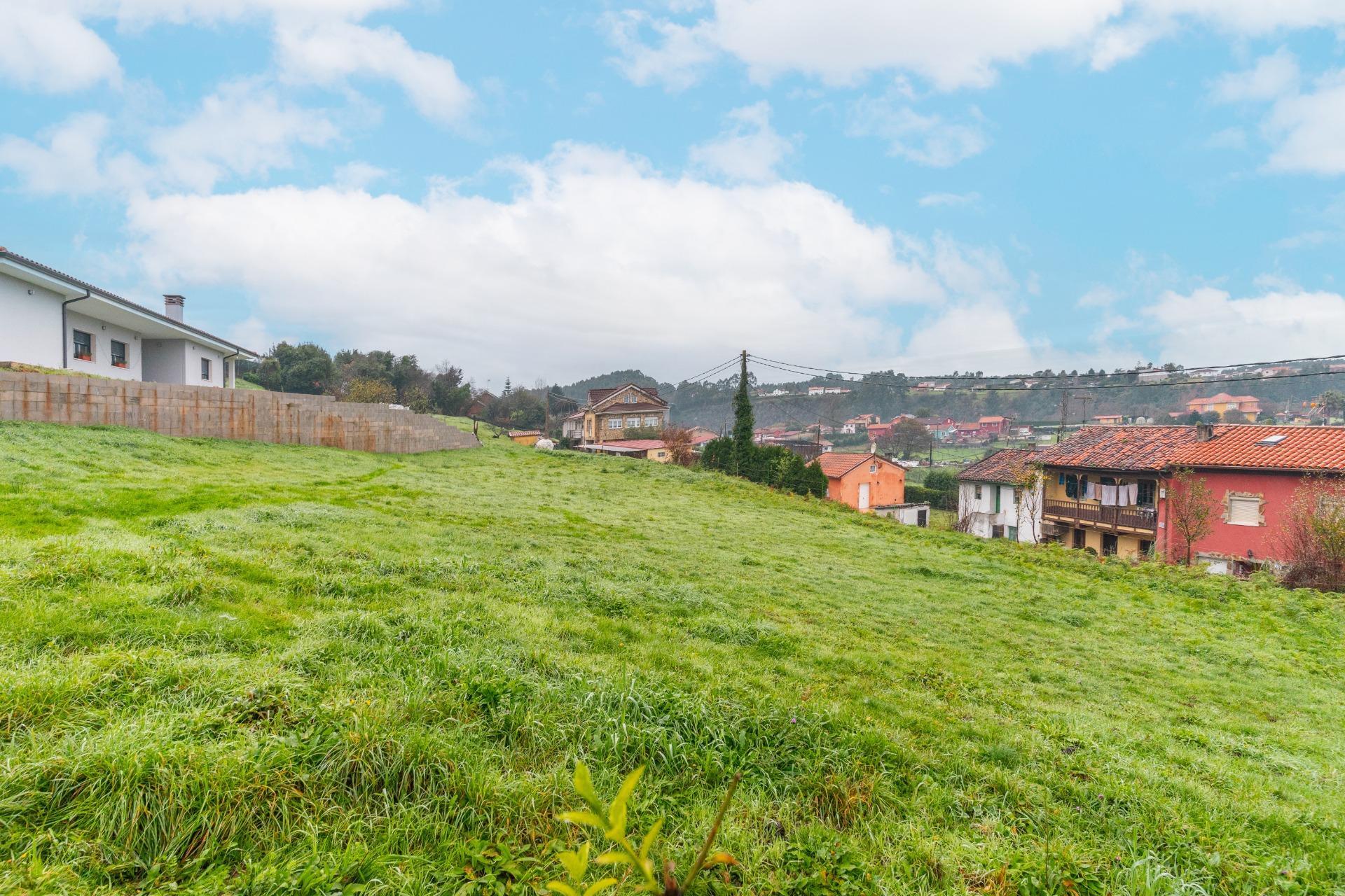 Fincas y solares-Venta-CastrillÃ³n-2033159-Foto-4