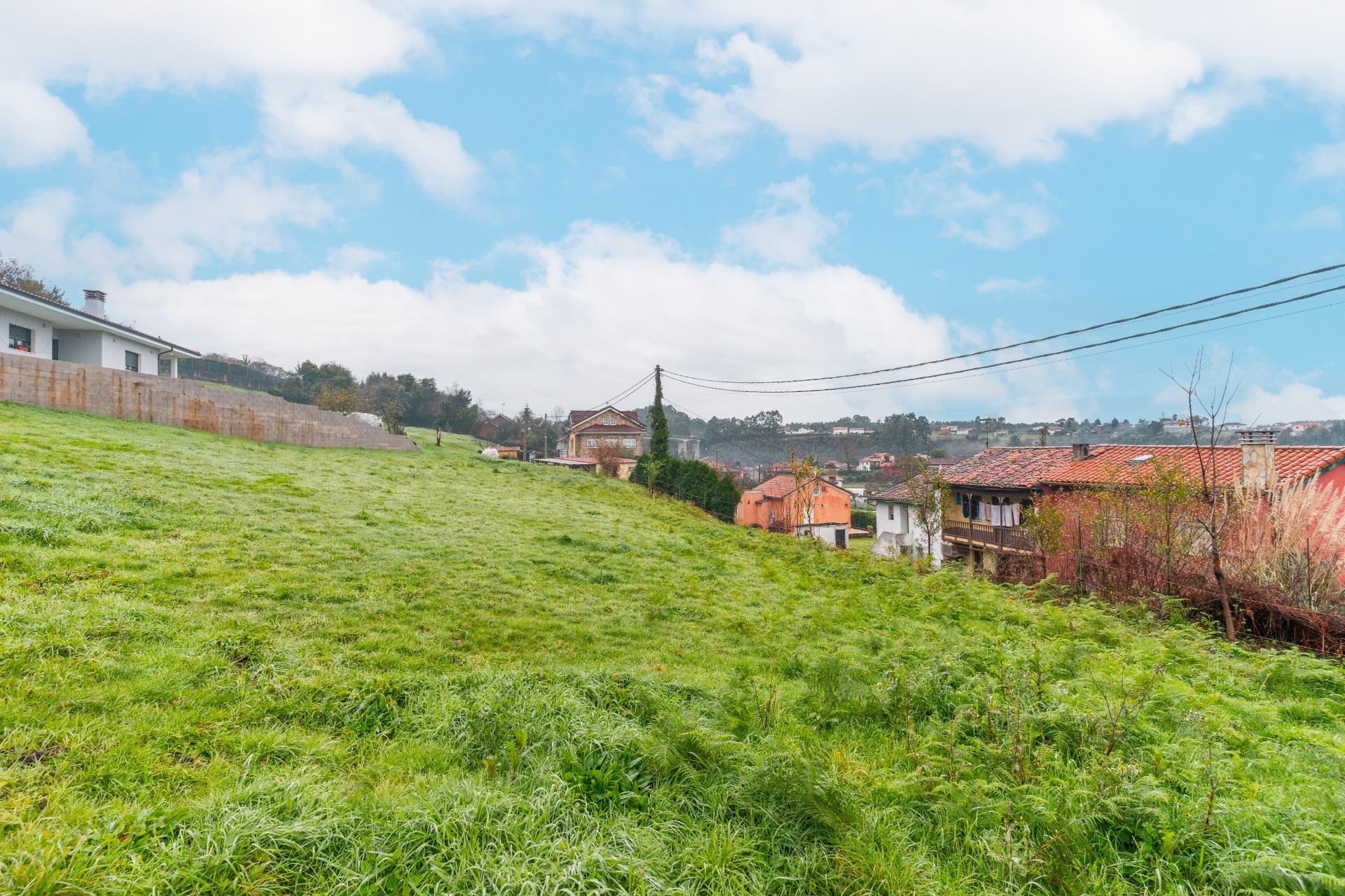 Fincas y solares-Venta-CastrillÃ³n-2033159-Foto-5