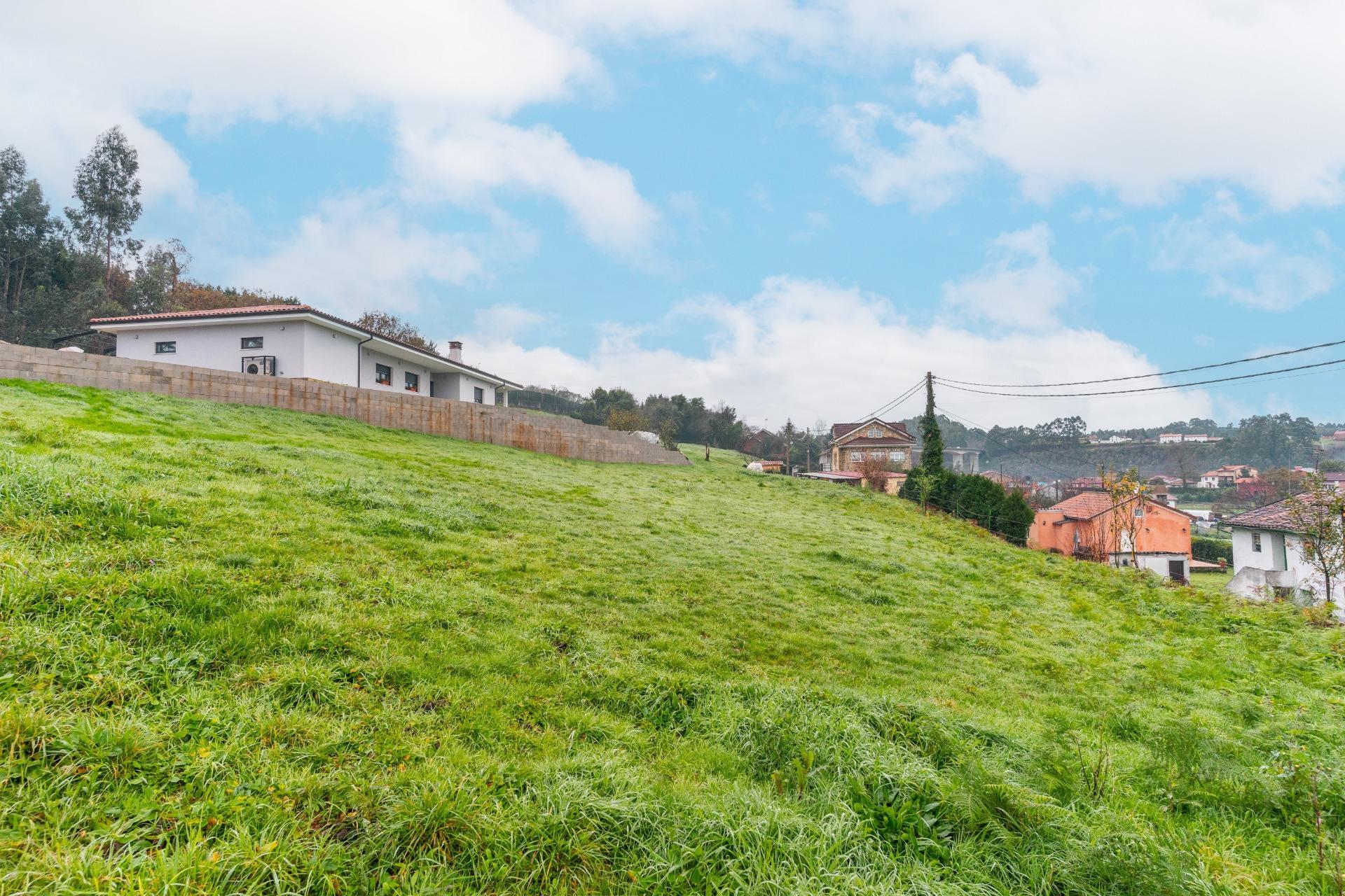 Fincas y solares-Venta-CastrillÃ³n-2033159-Foto-2