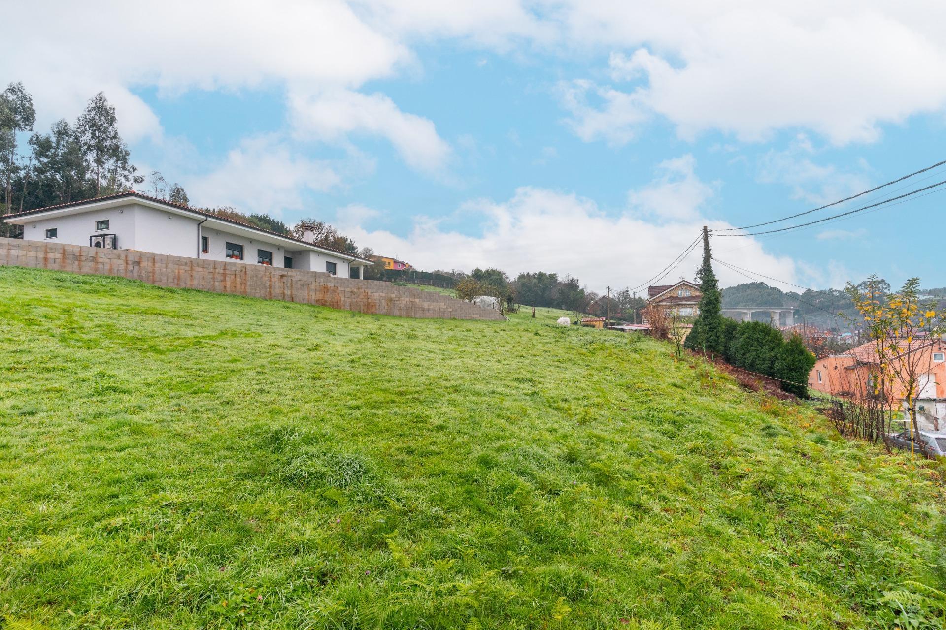 Fincas y solares-Venta-CastrillÃ³n-2033159-Foto-7