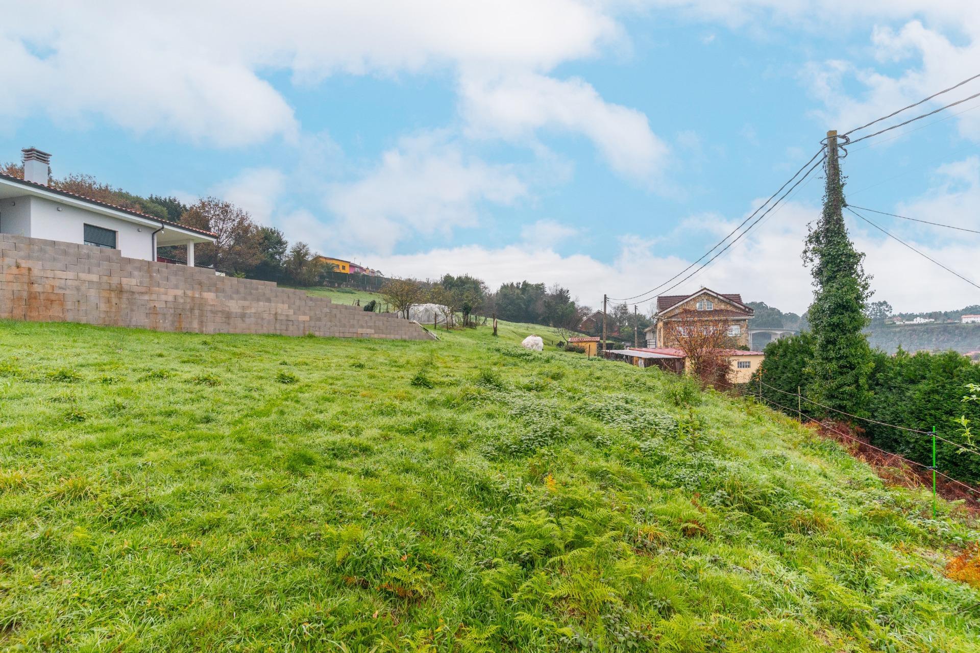 Fincas y solares-Venta-CastrillÃ³n-2033159-Foto-9