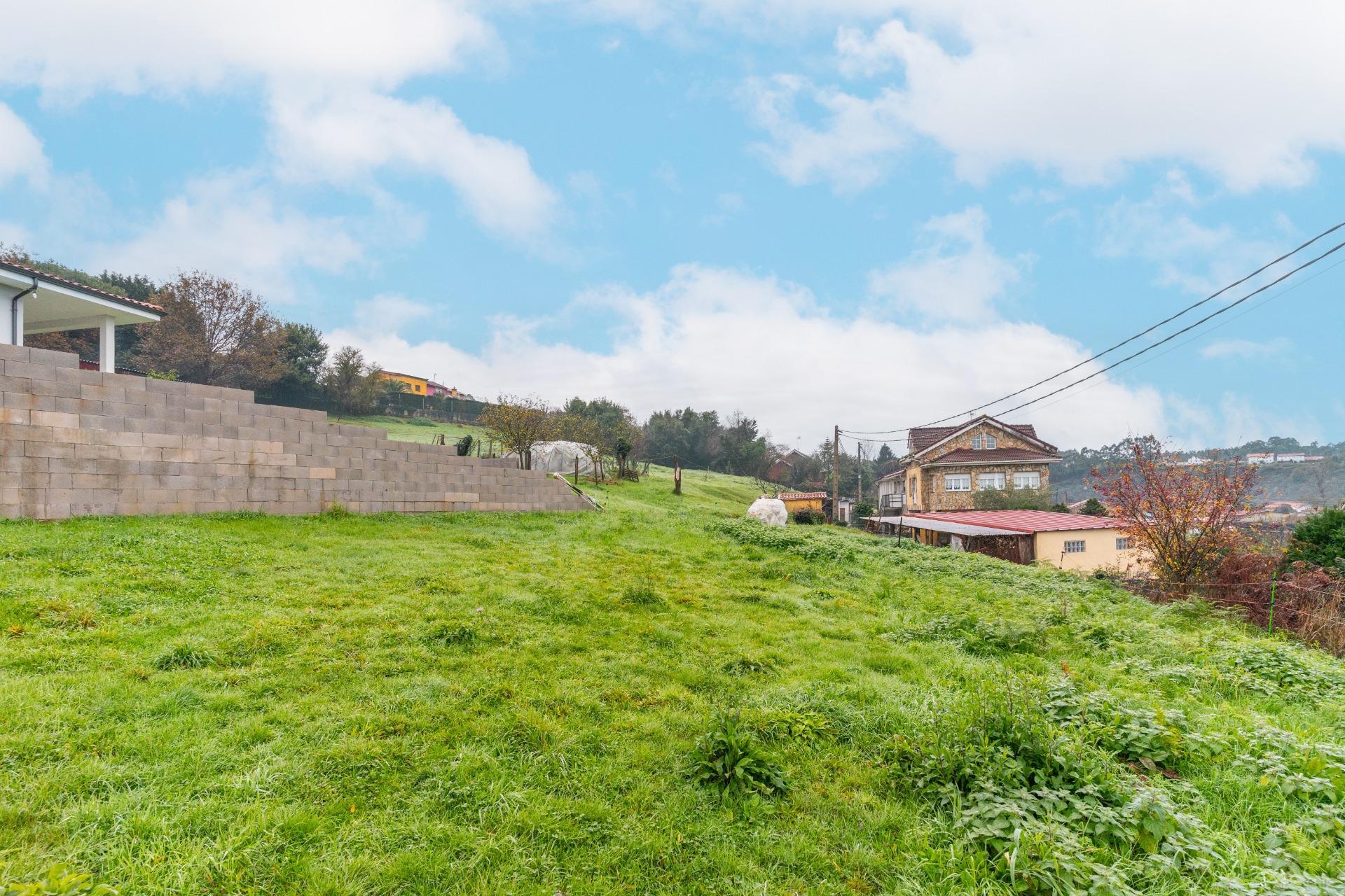 Fincas y solares-Venta-CastrillÃ³n-2033159-Foto-10