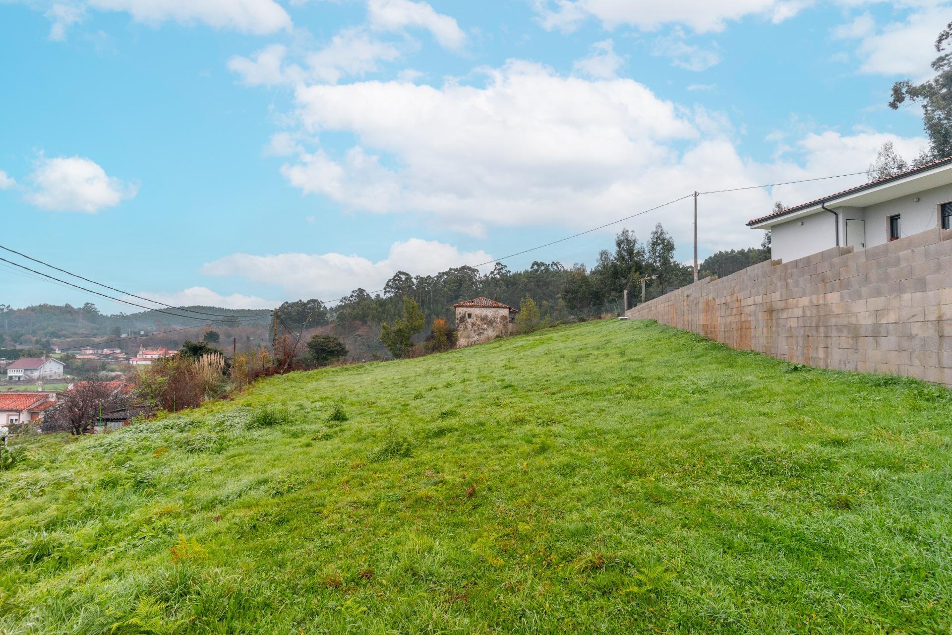 Fincas y solares-Venta-CastrillÃ³n-2033159-Foto-12